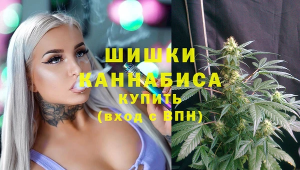 дмт Заводоуковск