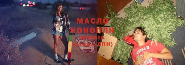 дмт Заводоуковск