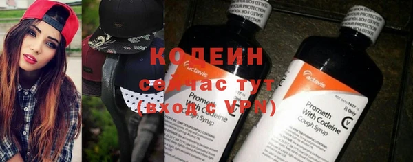 дмт Заводоуковск