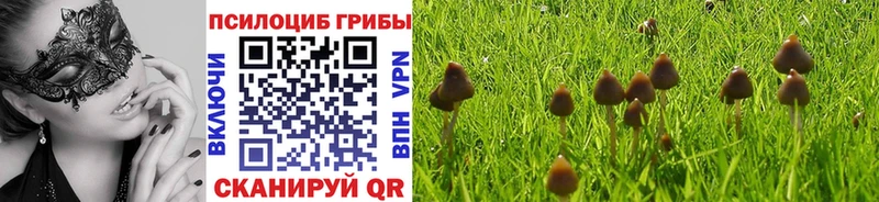 Галлюциногенные грибы MAGIC MUSHROOMS  hydra онион  Чегем 